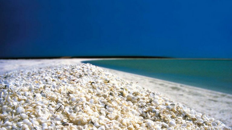 Черупковият плаж в Австралия