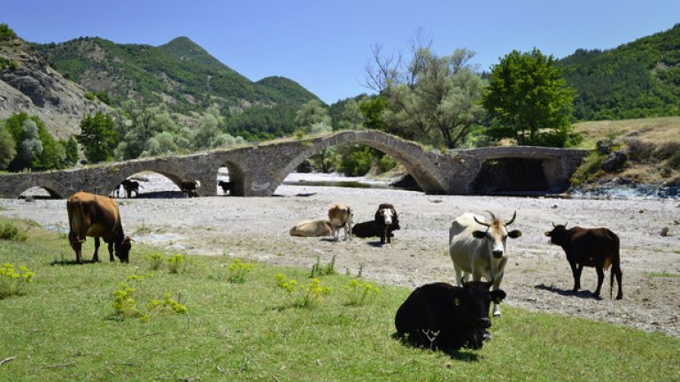 По този старинен мост през Средновековието са преминали и участниците в четвъртия кръстоносен поход по пътя си към Светите земи. Днес бурните понякога води на река Боровица са разрушили част от него и единствено добитъкът го използва, за да се крие от жаркото лятно слънце.