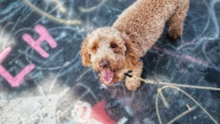 seth-weisfeld-EfZAKUxMP9E-unsplash