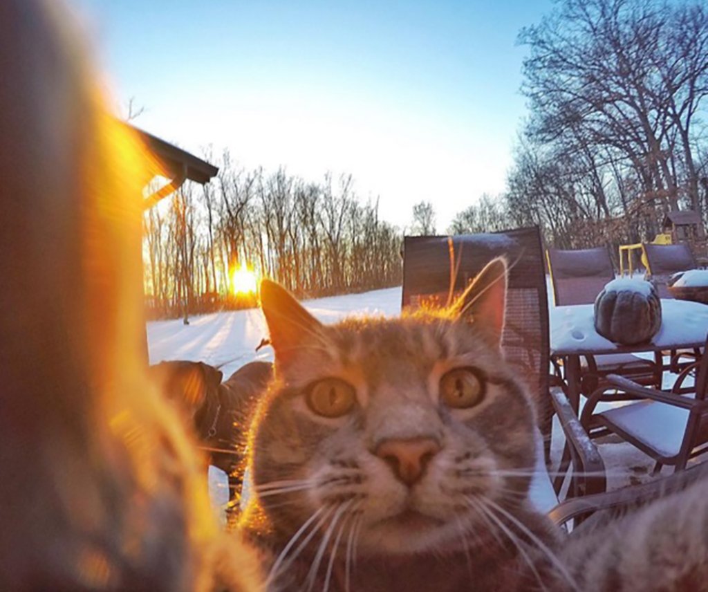 Селфи с котката Мани