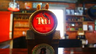 tui-beer