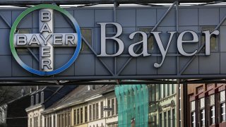 bayer