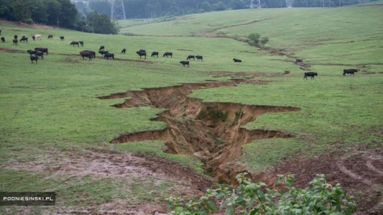 Природата завладява изоставената Фукушима