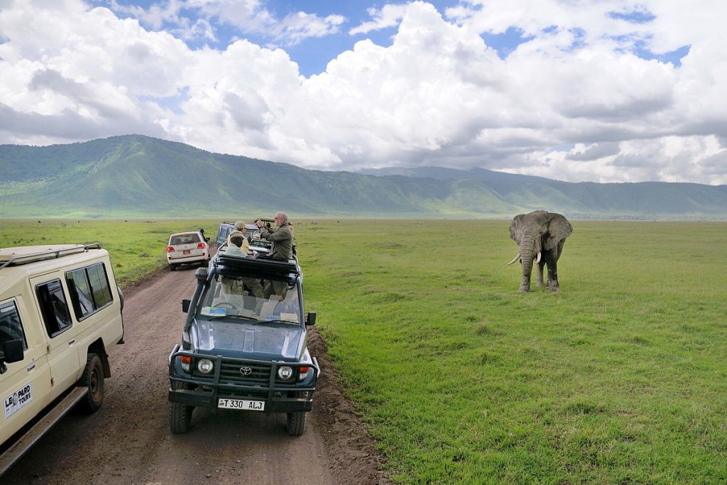 Elephant_and_tourists_at_Ngorongoro_Crater