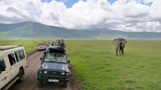 Elephant_and_tourists_at_Ngorongoro_Crater