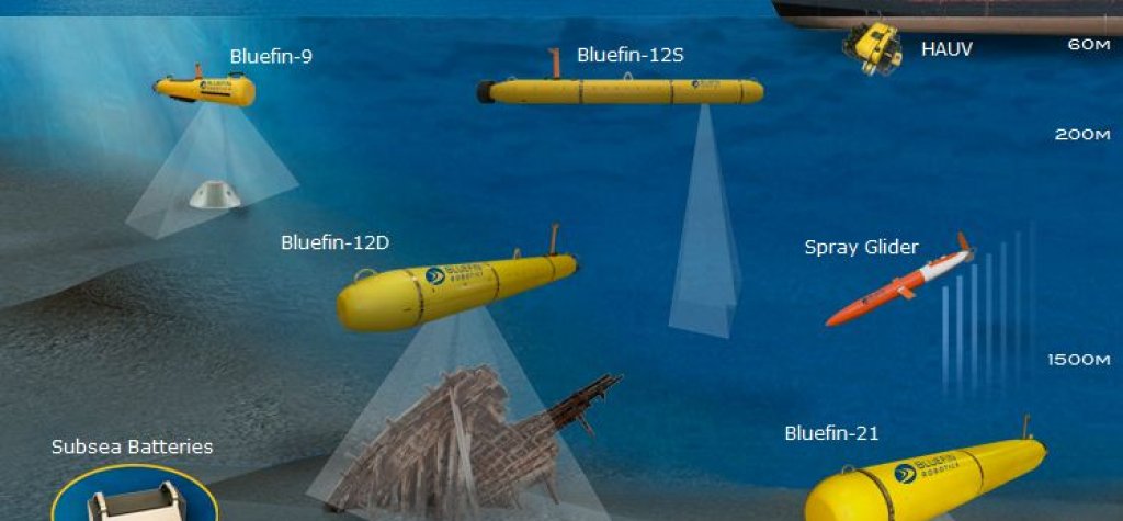 Bluefin-21-2
