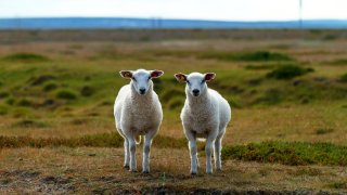 jorgen-haland-4yOgRb_b_i4-unsplash