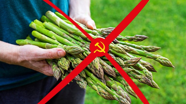 Всички опити на БКП да върне аспержите в България са неуспешни