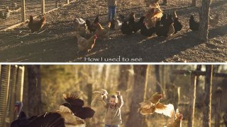 10-Photos-Showing-What-Most-People-See-and-What-a-Photographer-Sees-598968c67d9a6__700