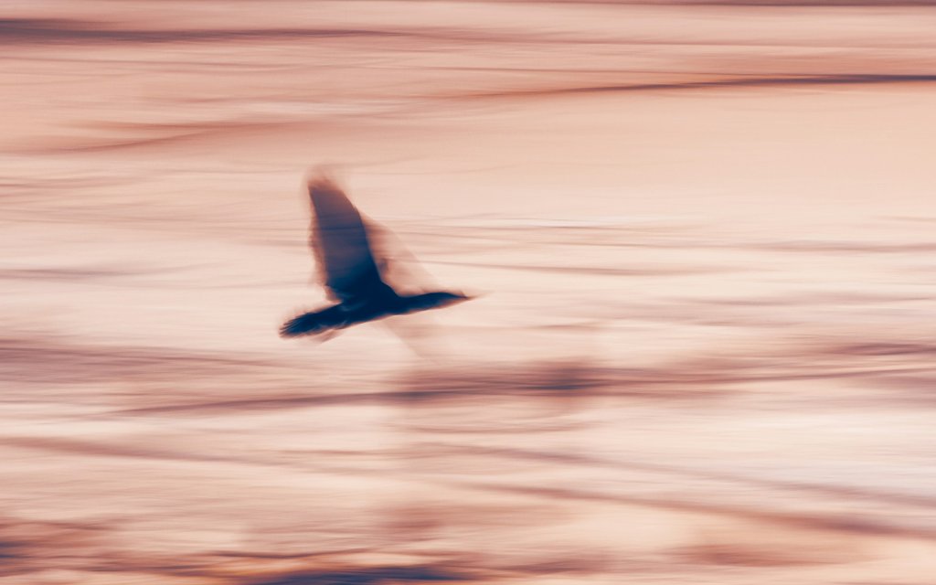 marek-piwnicki-8SqgP2vIwJk-unsplash