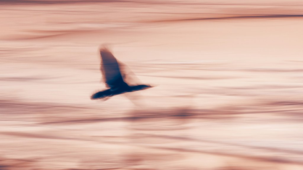 marek-piwnicki-8SqgP2vIwJk-unsplash