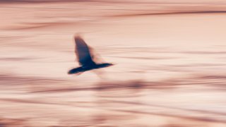 marek-piwnicki-8SqgP2vIwJk-unsplash