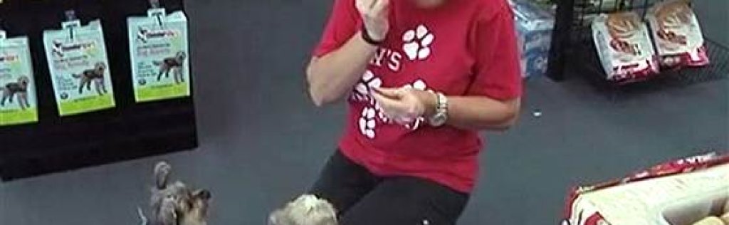 1D274906282287-today-dog-food-140703-02.blocks_desktop_medium