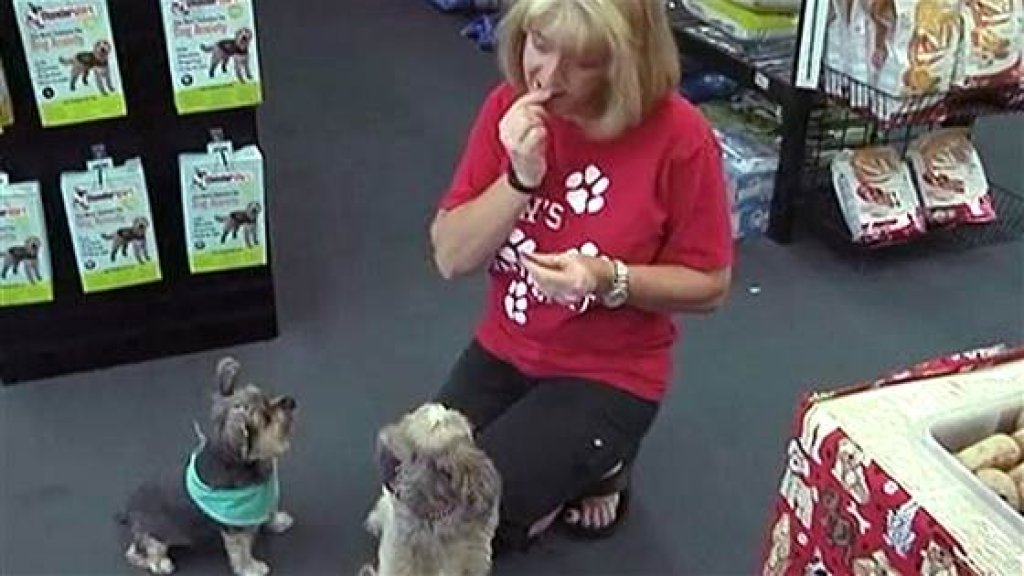 1D274906282287-today-dog-food-140703-02.blocks_desktop_medium