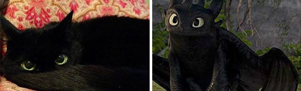 Toothless от Как да си дресираш дракон