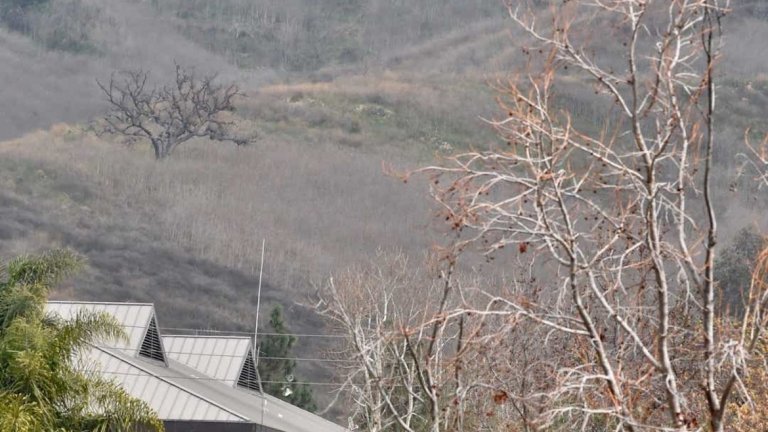 Брайънт, 13-годишната му дъщеря и още седмина пасажери загинаха в катастрофа на 26 януари край Калабасас.