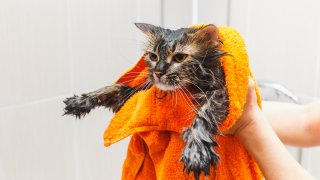 И ако се стигне дотам, как да го направите най-безопасно - за нея и за вас