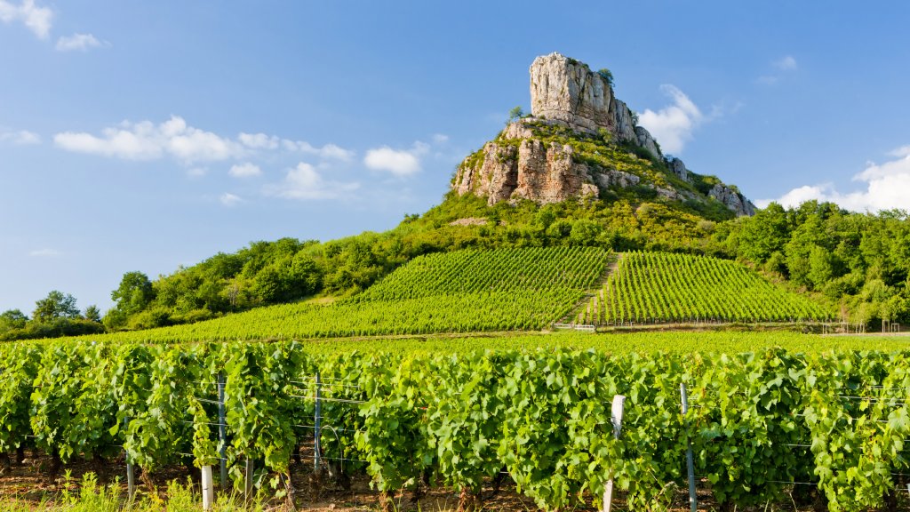 Solutre Rock with vineyards, Burgundy, France