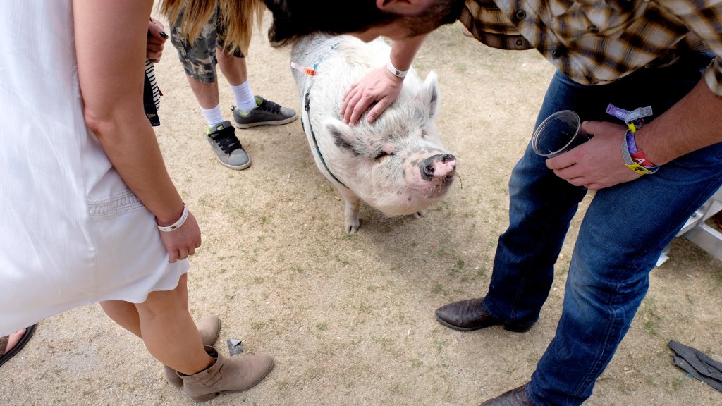 2016 Stagecoach California's Country Music Festival - Day 2