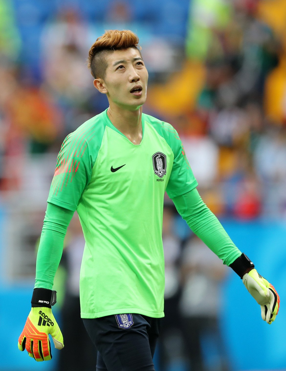Вратар: Чо Хьон-У (Южна Корея)

Корейците отпаднаха, но техният страж нямаше как да се представи по-добре. Той се запомни с чудесни спасявания и в трите си мача, а при сензационната победа над Германия с 2:0 беше избран за играч на мача.