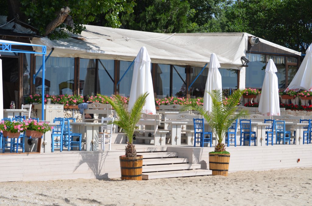 Плами и розови цветове красят морската алея