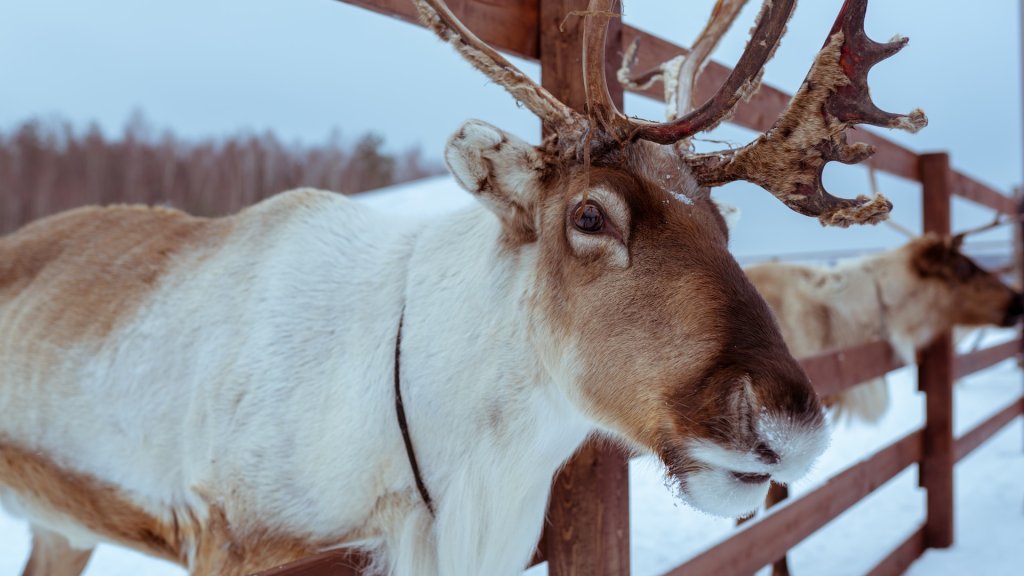 arseny-togulev-T_xh83jC708-unsplash