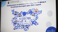 Новите инфографики обхващат социалната, етническата и религиозната принадлежност на населението в България