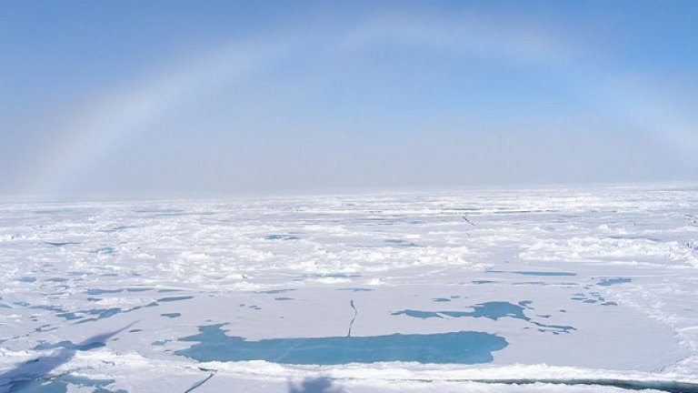 Арктика има много ресурси и много собственици