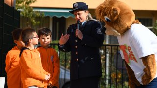 TEDI PR