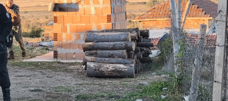 Дървени трупи, за които няма официални документи - предвидени за търговия с гласове Твърдица, Сливенско.