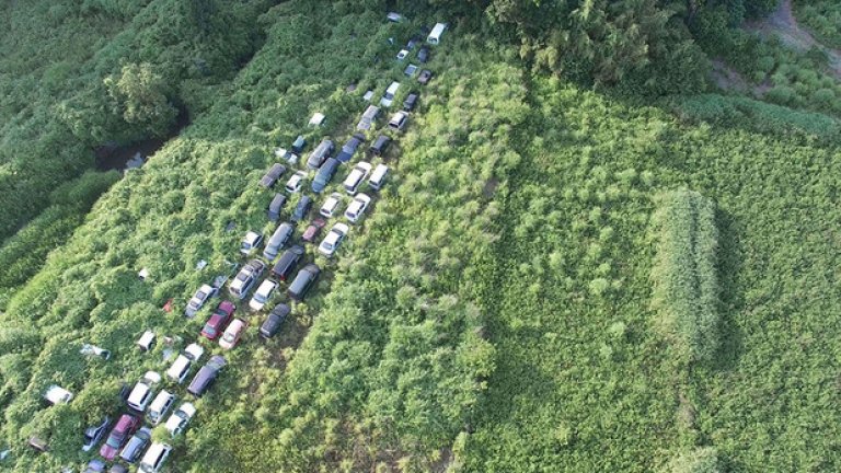 Край Фукушима природата постепенно завладява изоставеното от човека