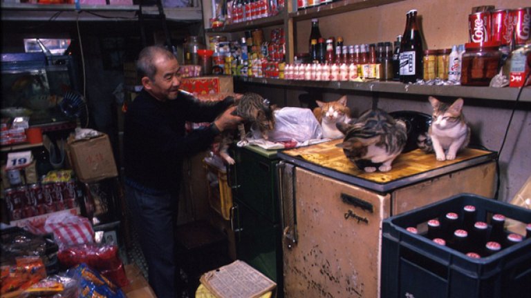 Зазиданият град