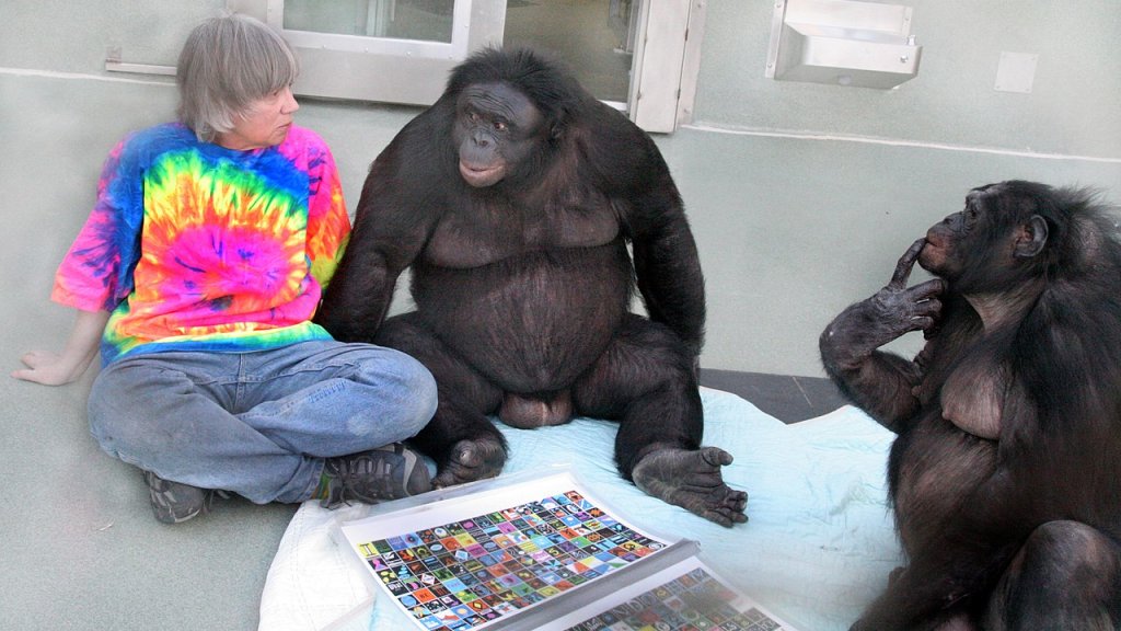 1280px-Bonobos_Kanzi_and_Panbanisha_with_Sue_Savage-Rumbaugh