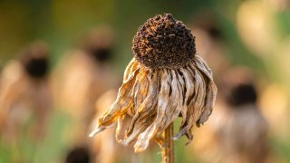 pawel-czerwinski-Cuujm8Yad7A-unsplash