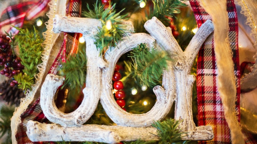 joy-1823939_1920