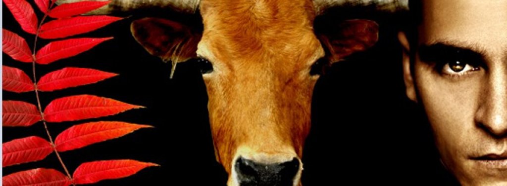 affiche-earthlings