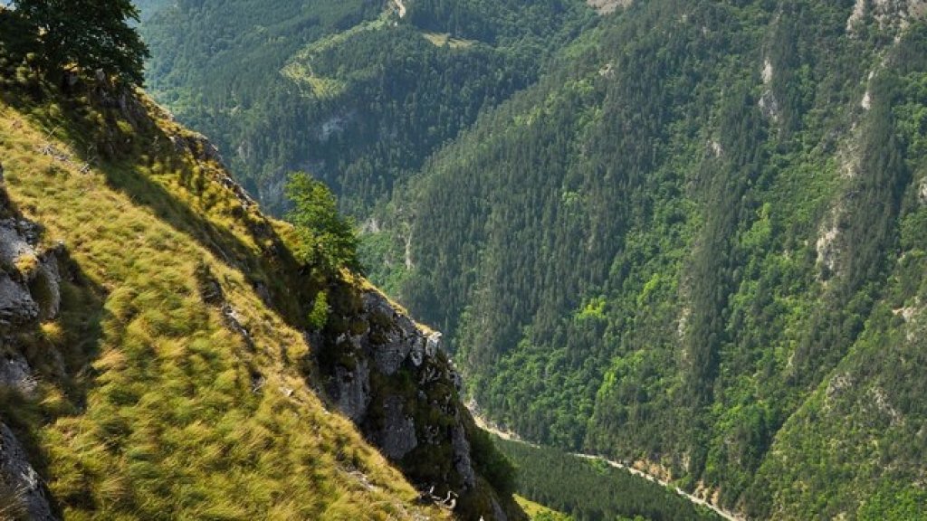 trigradsko jdrelo