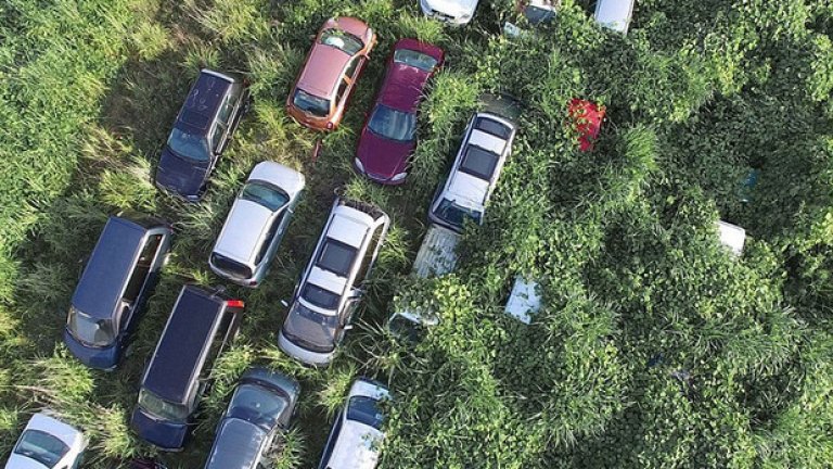 Част от колите вече потъват под буйно образуващата се растителност