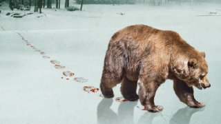 Russia_economy