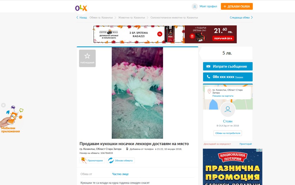 Само 5лв. е кукошката