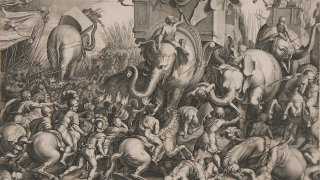 Slaget_ved_Zama_-_Cornelis_Cort,_1567