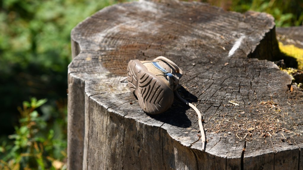 forgotten shoe on a tree trunk