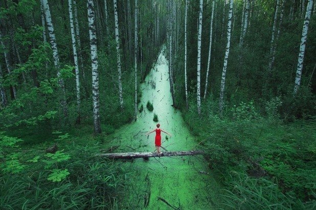 Разходка сред безкрайните руски гори

Снимка: Иван Летохин
