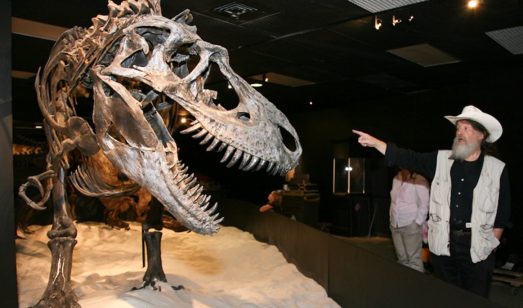 HMNS Dinosaur Mummy CSI