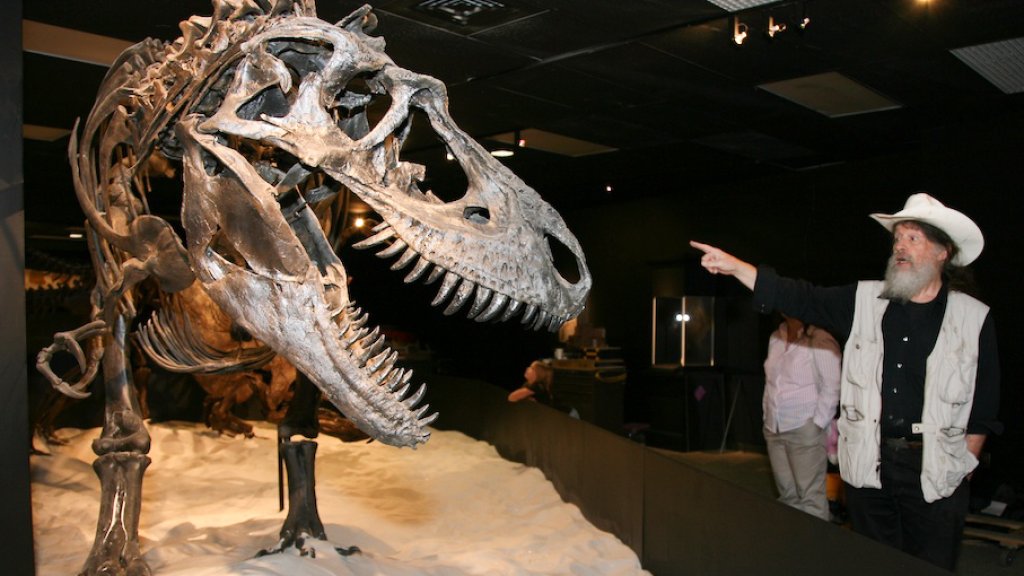 HMNS Dinosaur Mummy CSI