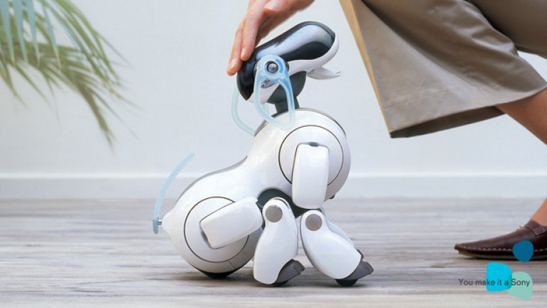 А кучето на Sony - Aido, сигурно сте го виждали поне няколко пъти в телевизионни репортажи