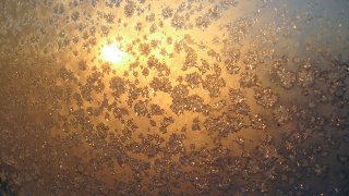 orange snow