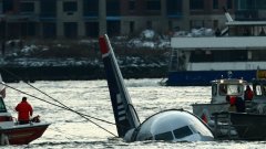 Самолет на "US Airways" се озова във водите на река Хъдсън през 2009 г. след като малко след излитането ято гъски повреди двигателите му. Инциденти като този ежегодно нанасят щети за 1,2 милиарда долара.
