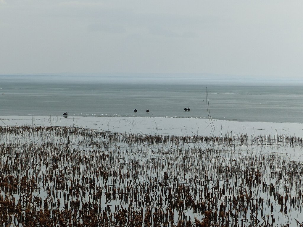 Ice_Melting_on_Lake_Balaton