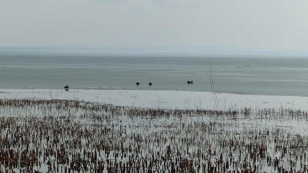 Ice_Melting_on_Lake_Balaton